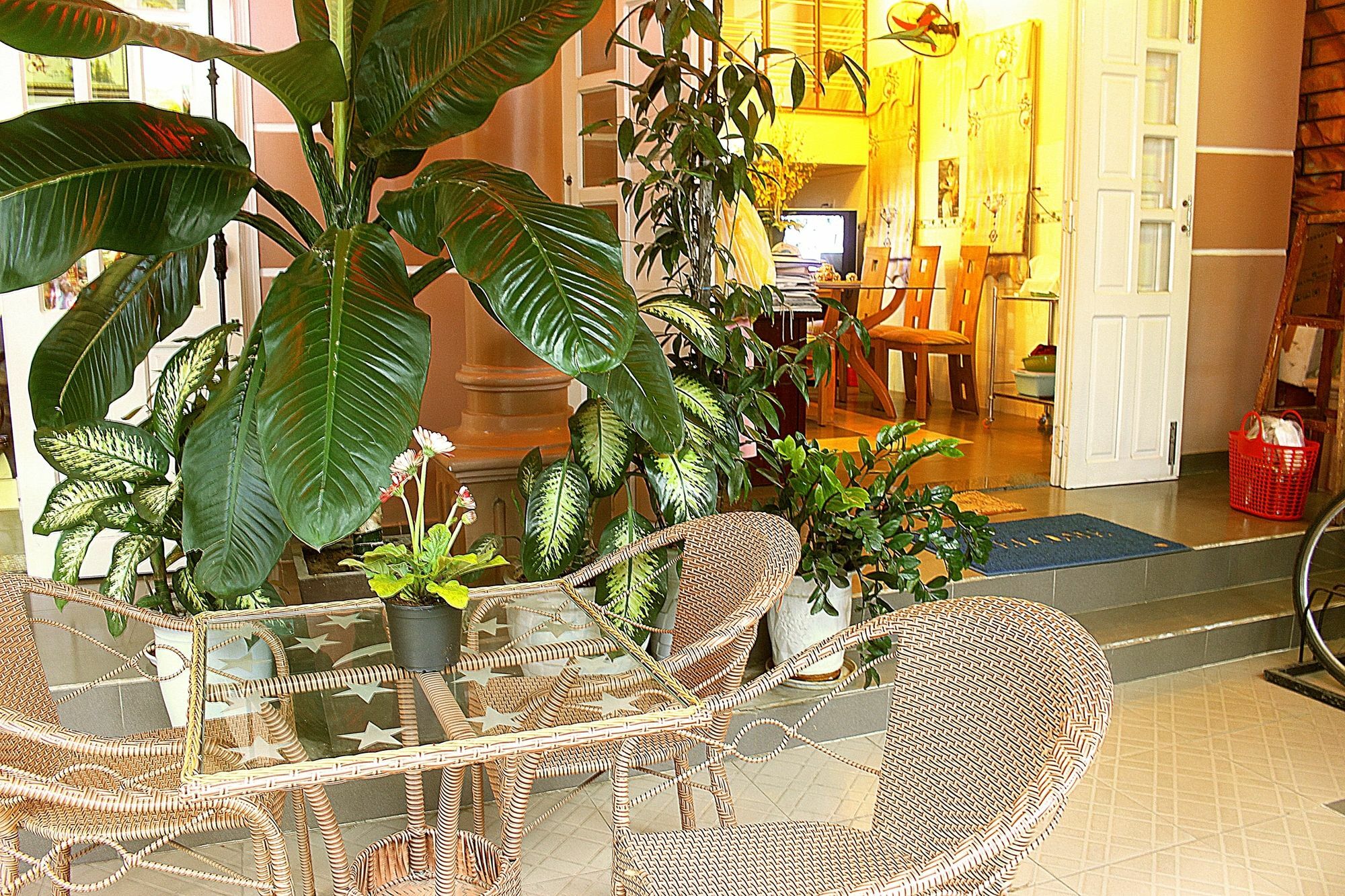 Quy Long Homestay هوي ان المظهر الخارجي الصورة